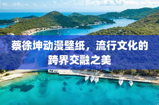 蔡徐坤動漫壁紙，流行文化的跨界交融之美