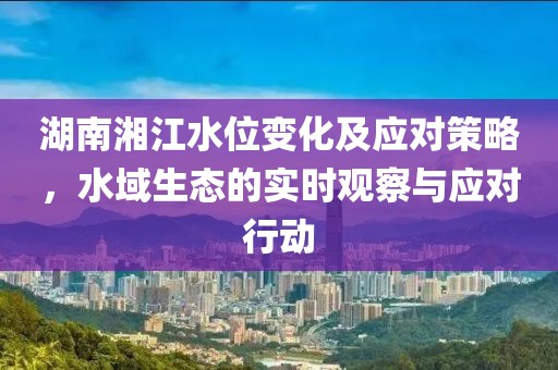 湖南湘江水位變化及應對策略，水域生態的實時觀察與應對行動
