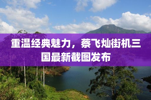 重溫經典魅力，蔡飛燦街機三國最新截圖發布