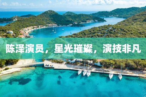 陳澤演員，星光璀璨，演技非凡