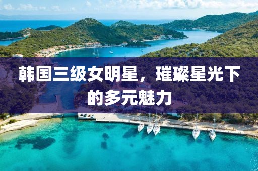韓國(guó)三級(jí)女明星,璀璨星光下的多元魅力