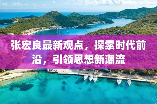 張宏良最新觀點,探索時代前沿,引領(lǐng)思想新潮流