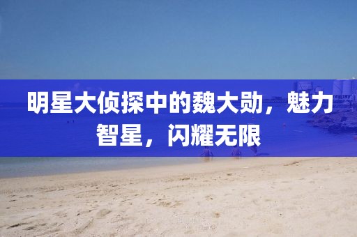 明星大偵探中的魏大勛,魅力智星,閃耀無限