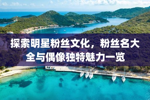 探索明星粉絲文化,粉絲名大全與偶像獨(dú)特魅力一覽