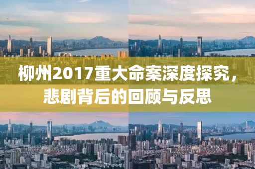柳州2017重大命案深度探究，悲劇背后的回顧與反思