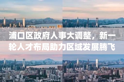 浦口區政府人事大調整,新一輪人才布局助力區域發展騰飛