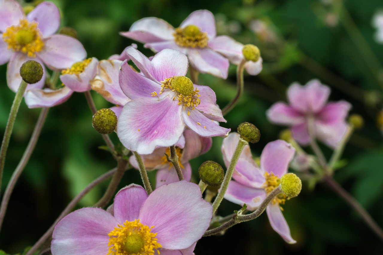 騎士隊最新動態加強，重塑榮光，蓄勢待發啟航新征程