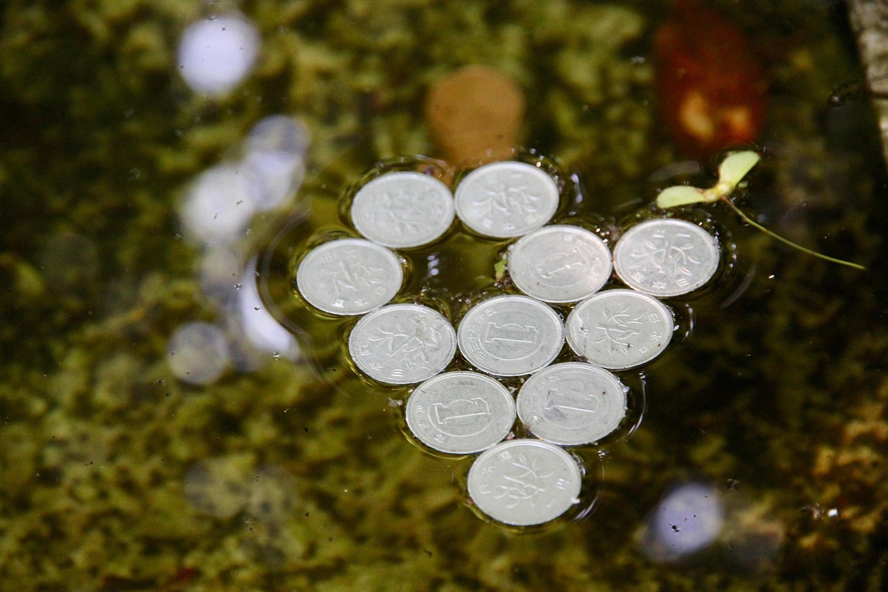 北京起源財富最新動態,揭秘未來財富增長的新引擎