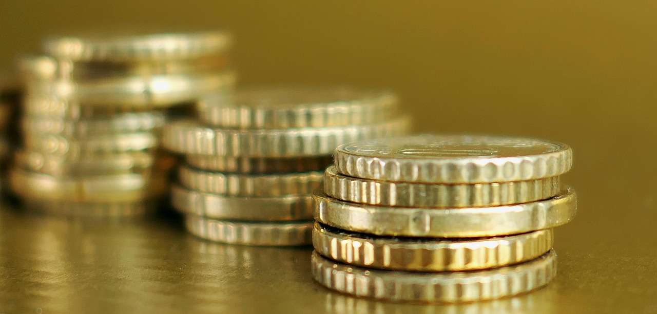 探討鵝毛價格,市場趨勢、影響因素與產業發展分析