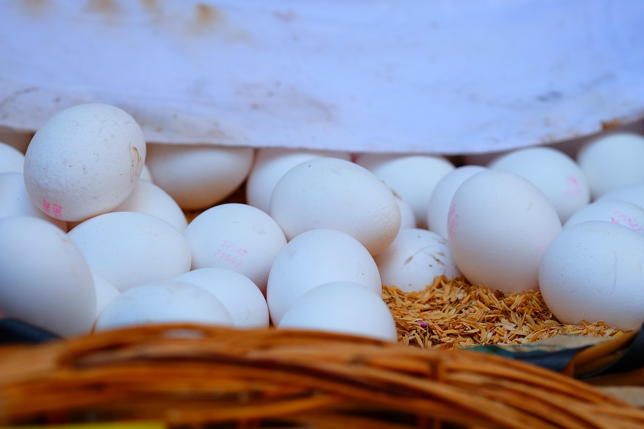合肥三縣樓市動態及市場趨勢與前景展望
