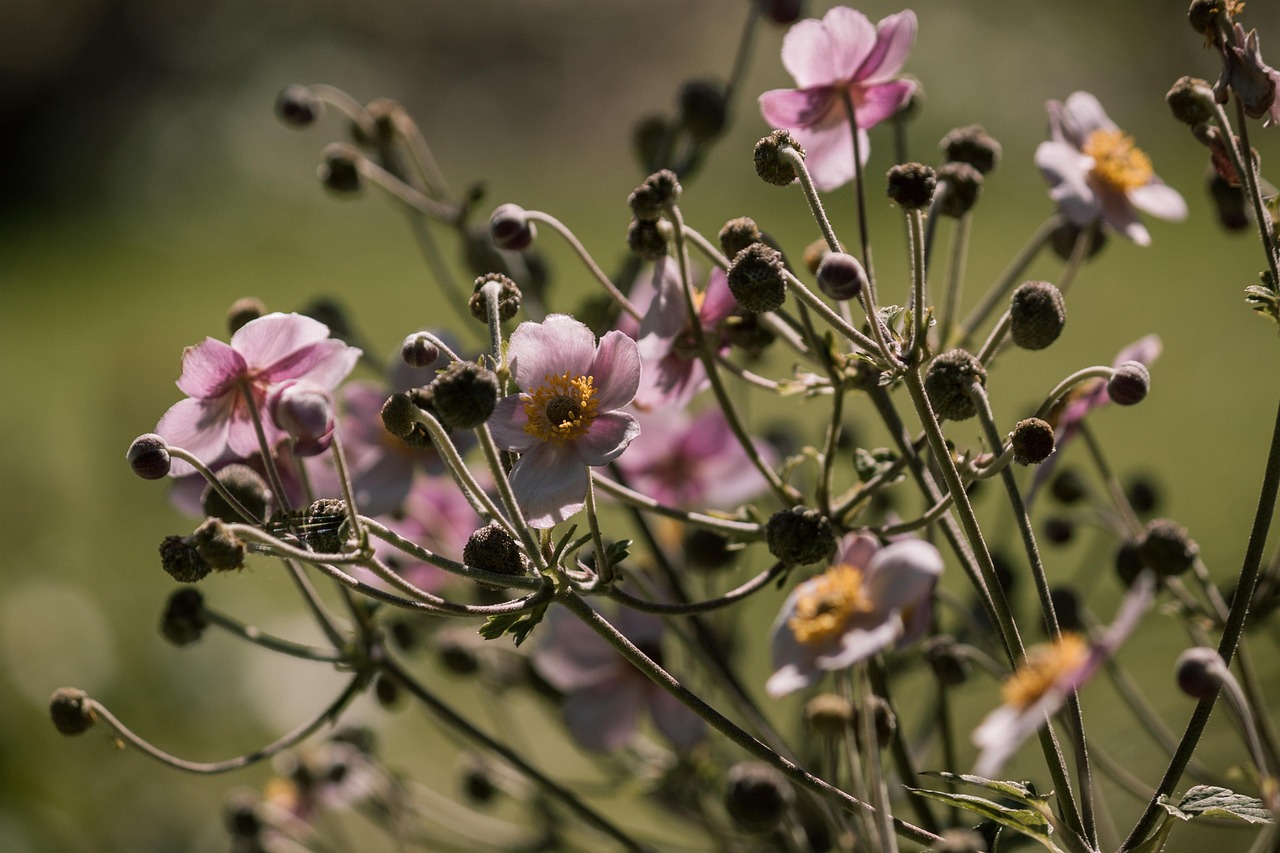 甘肅干旱最新動態，挑戰及應對策略