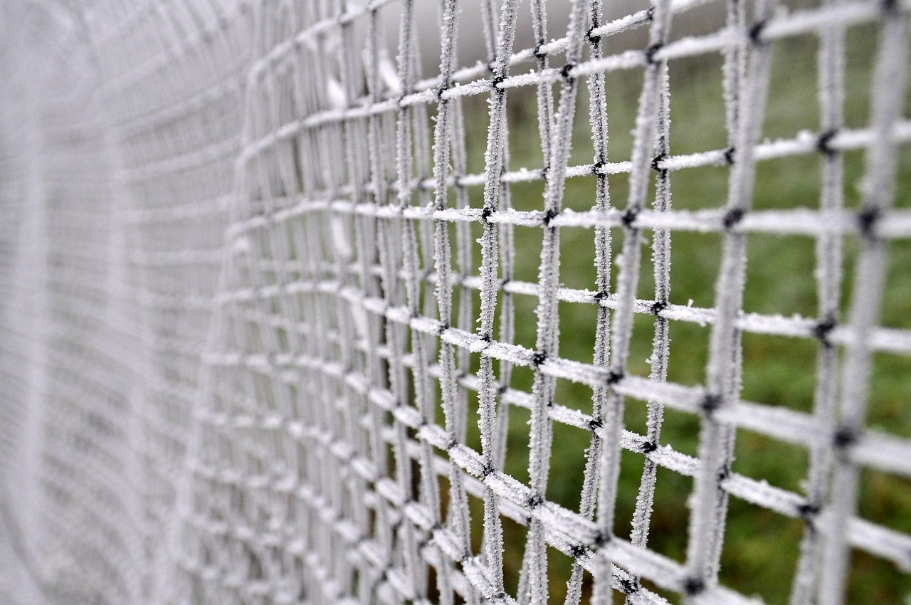 城市分級(jí)最新名單公布,洞悉中國(guó)城市化進(jìn)程的最新動(dòng)態(tài)