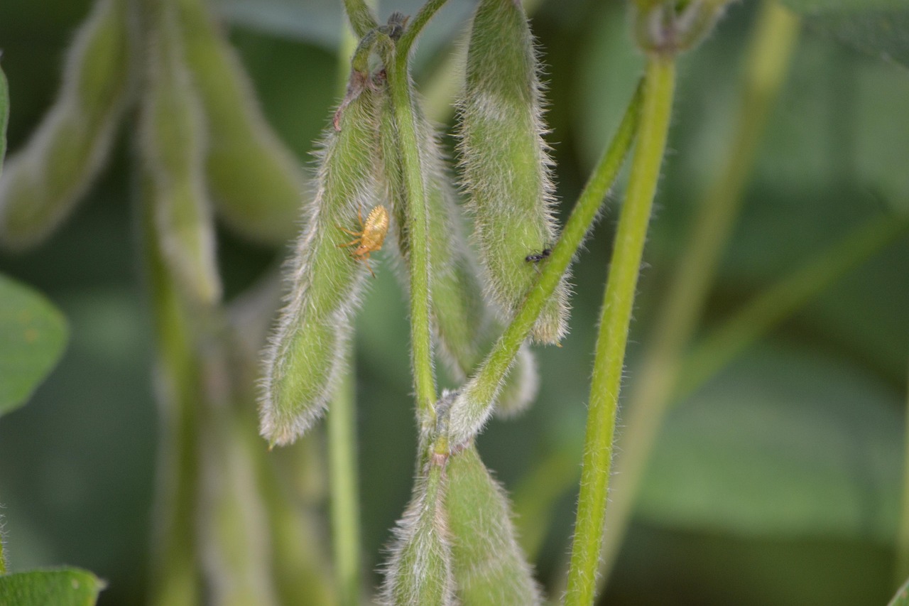 馬尾山海域最新房價動態與影響因素解析,房價走勢一網打盡!