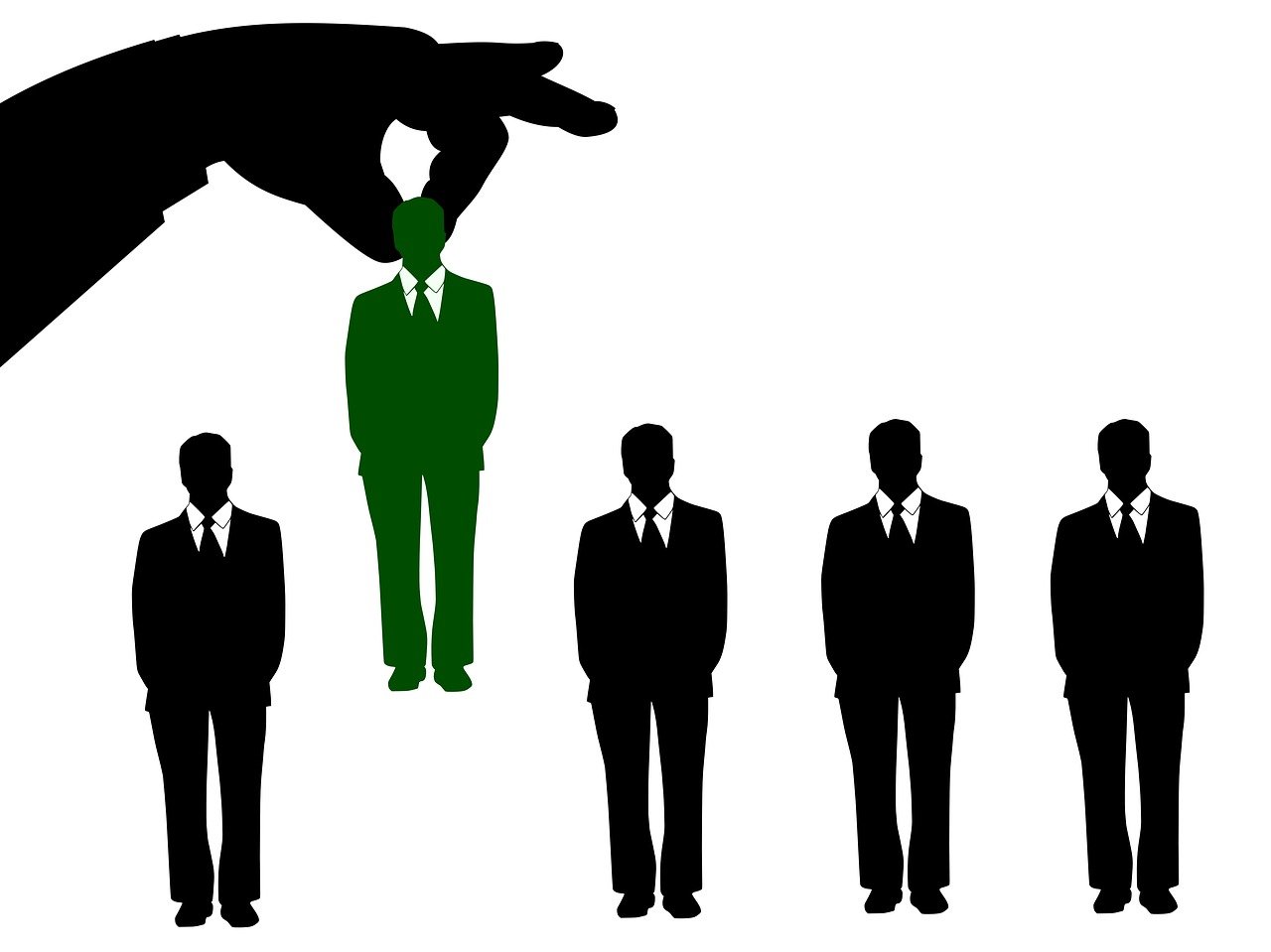 延慶招聘會最新資訊，聚焦最新招聘信息與行業趨勢