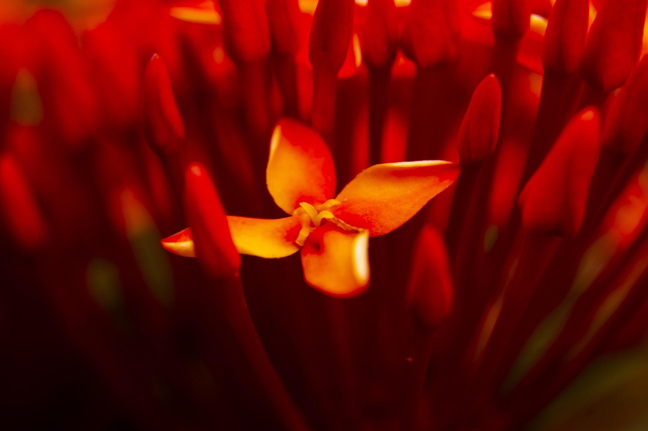 最新溫馨早晨祝福，開(kāi)啟美好一天的序曲篇章