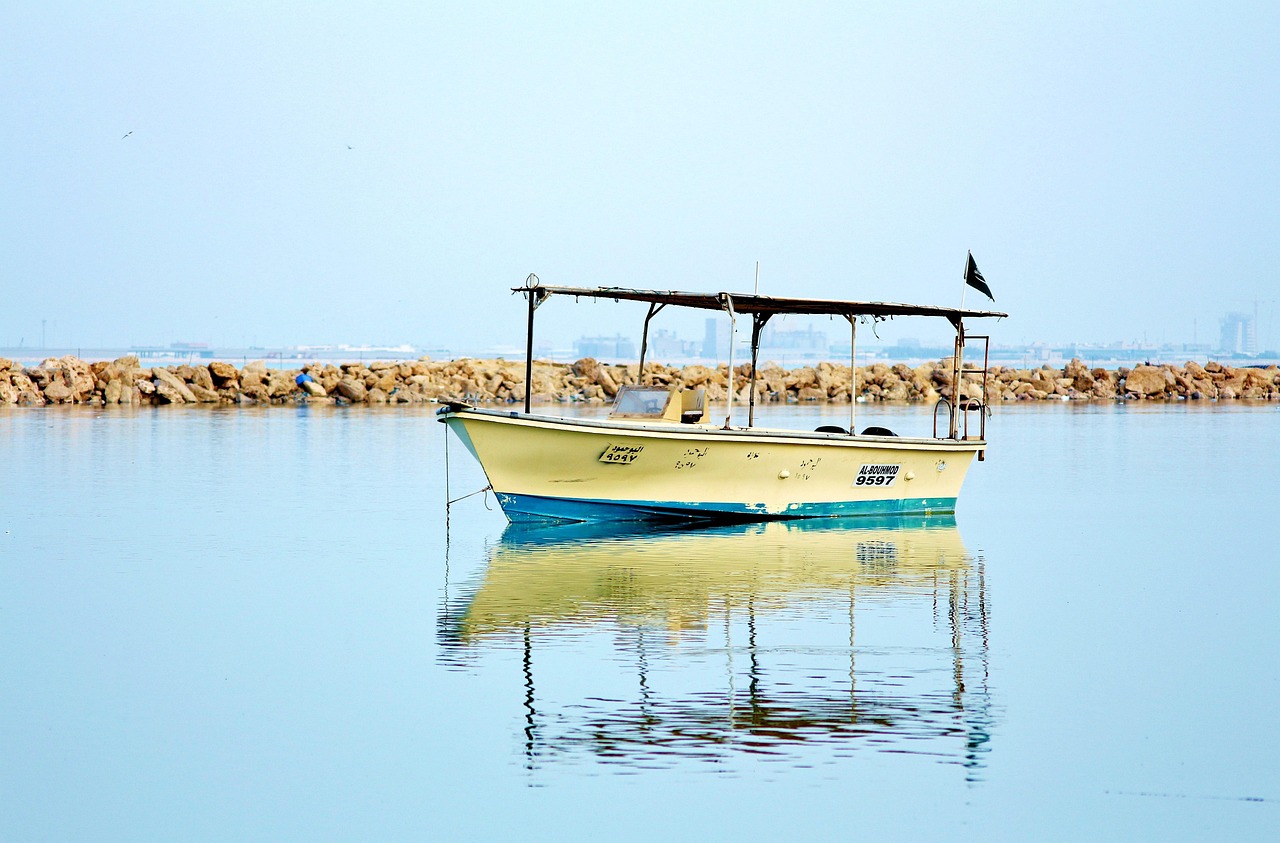 符凡迪最新動態(tài)，音樂之旅開啟新篇章