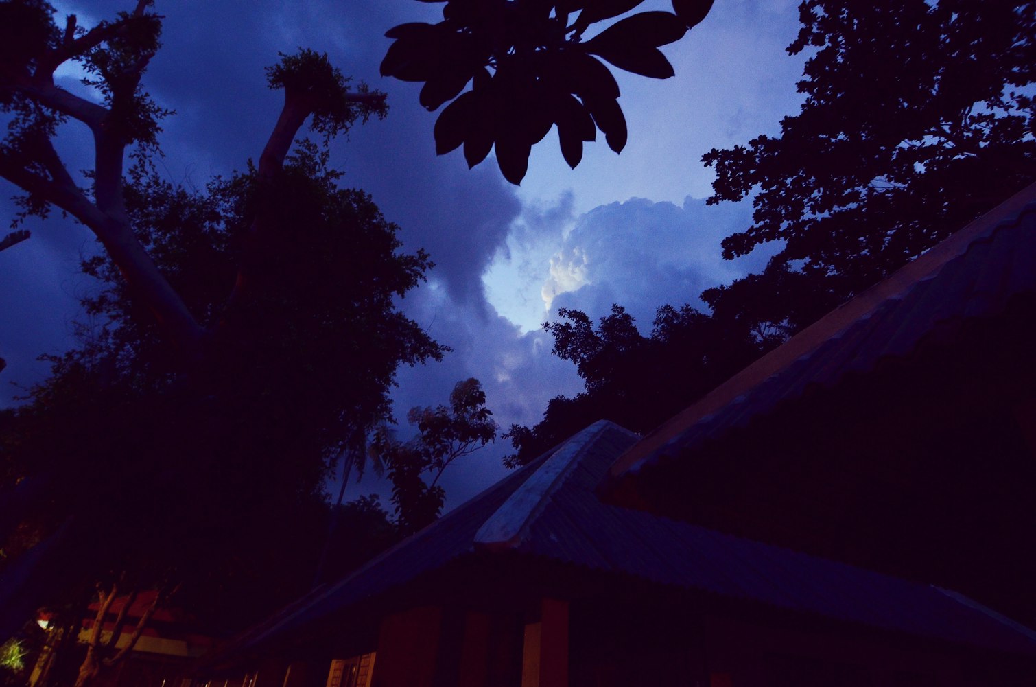 探索動漫世界的視覺與情感盛宴——去看吧動漫