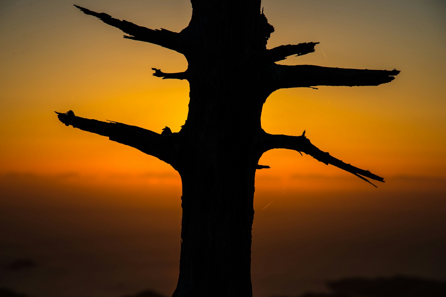 佛學新篇，探索現代佛學的新境界之道