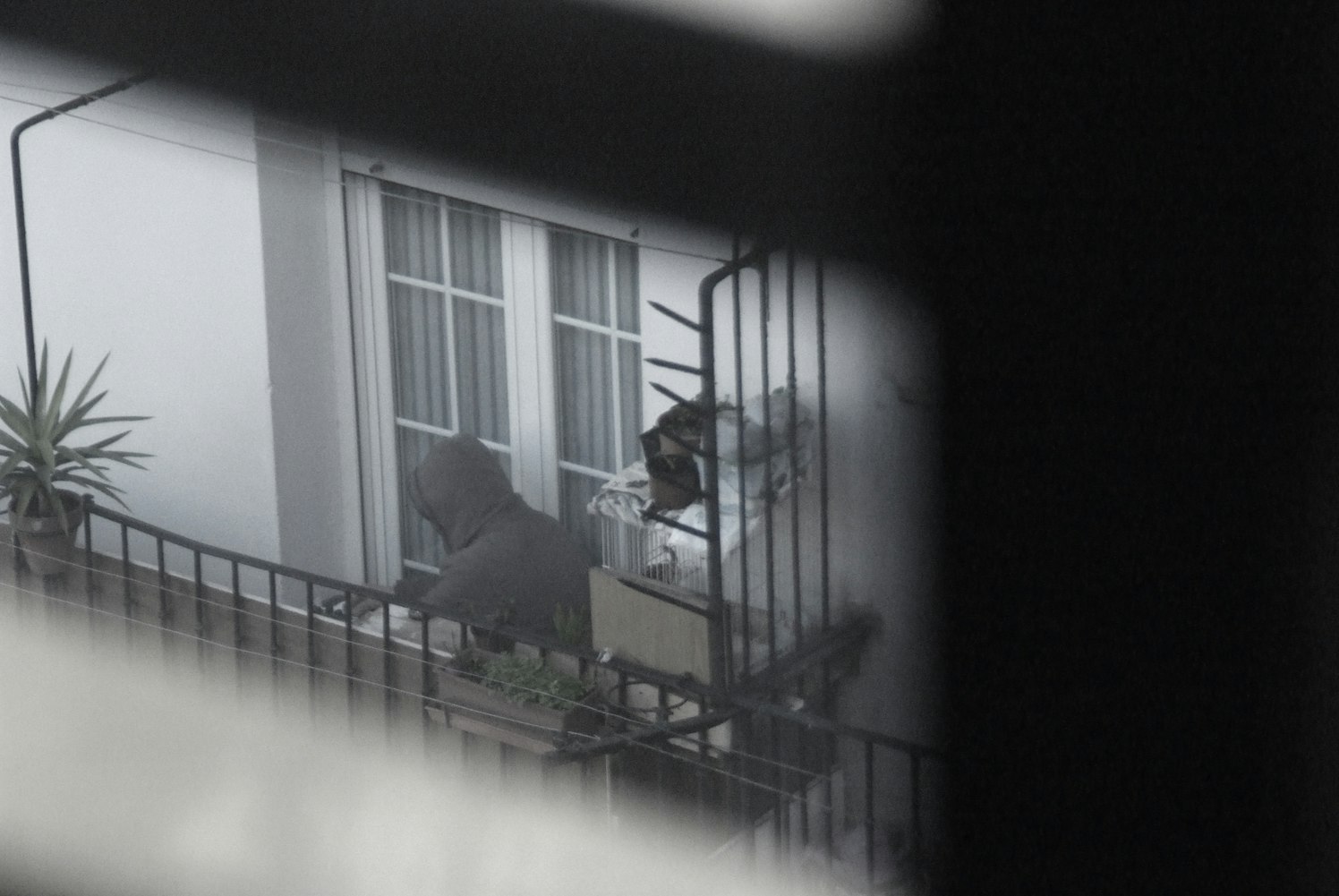 楊仕澤新動態揭秘,多元領域探索與個人潛力無限展現