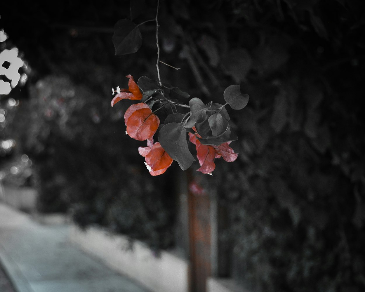 動漫情頭男男的魅力世界探索