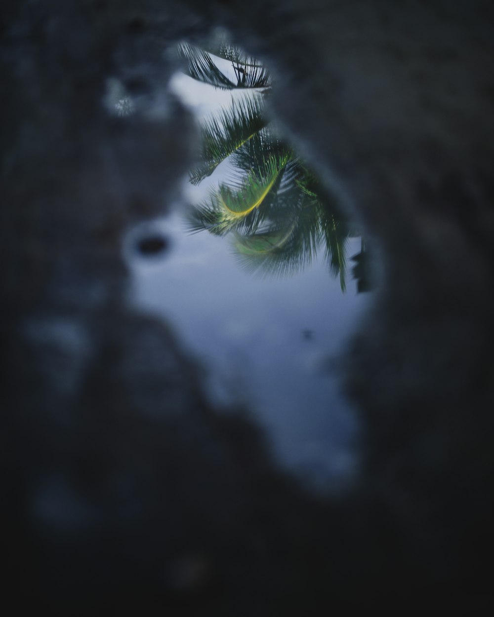 最新照片,時光痕跡的捕捉